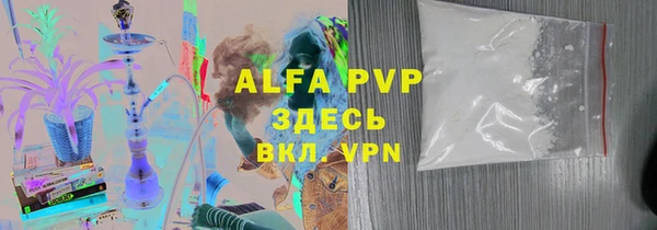 прущие грибы Гусь-Хрустальный