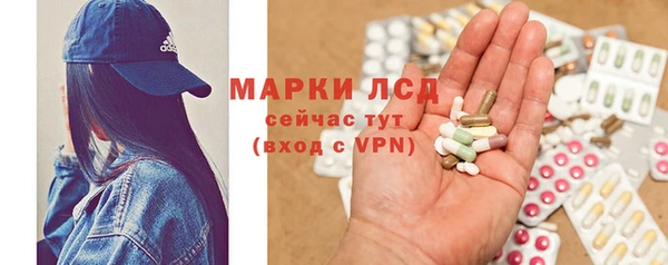 стафф Гусев
